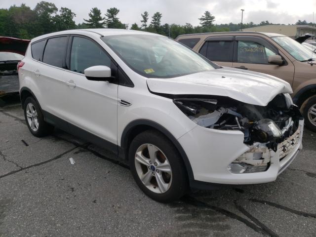 FORD ESCAPE SE 2014 1fmcu9g96euc72073