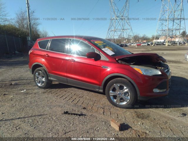 FORD ESCAPE 2012 1fmcu9g97dub21094