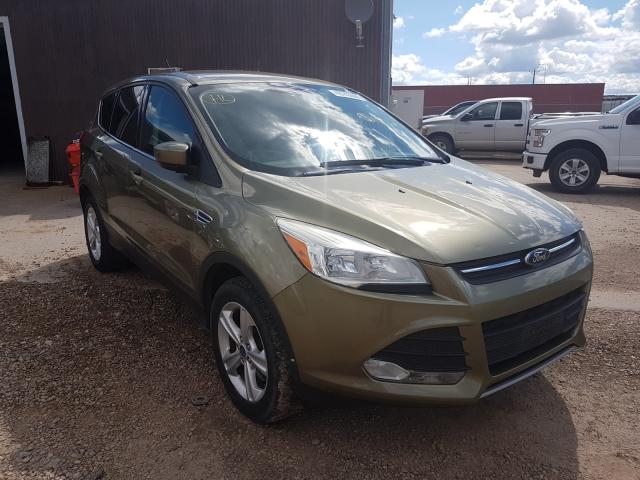 FORD ESCAPE SE 2013 1fmcu9g97duc95344