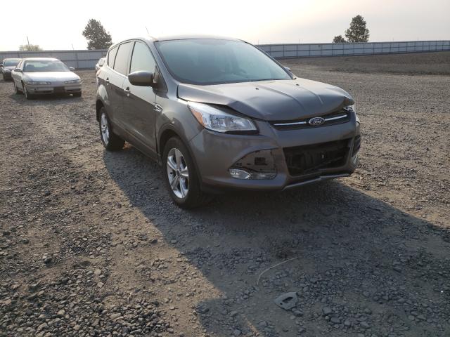 FORD ESCAPE SE 2014 1fmcu9g97eua07193