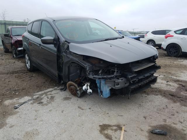 FORD NULL 2014 1fmcu9g97eub65243