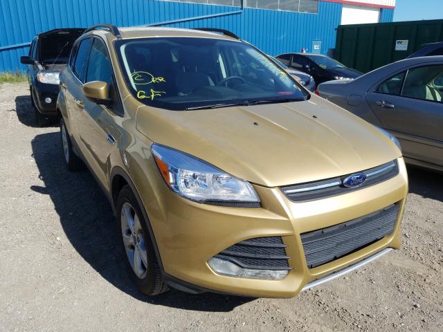 FORD ESCAPE SE 2014 1fmcu9g97eub88294