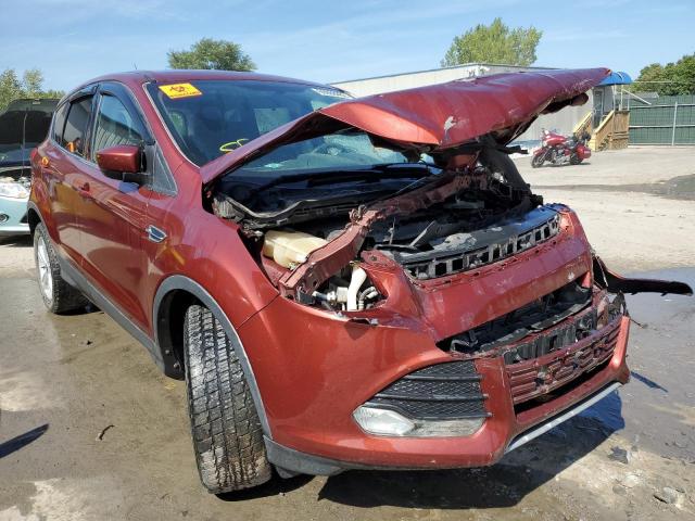 FORD ESCAPE SE 2014 1fmcu9g97euc41351