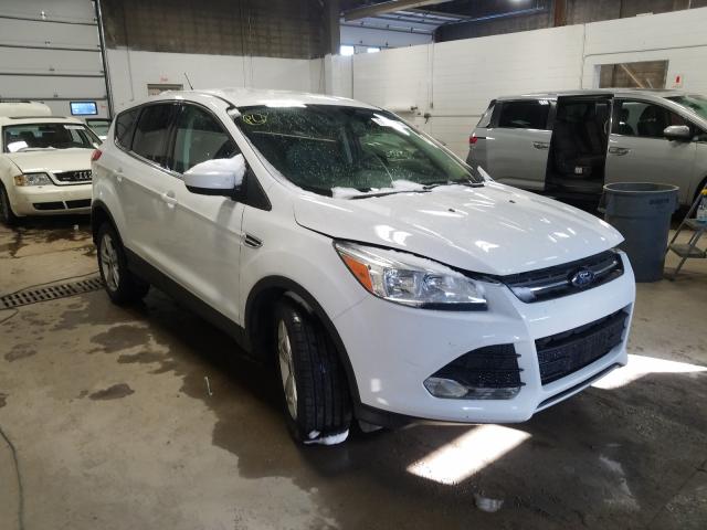 FORD ESCAPE SE 2014 1fmcu9g97euc68355