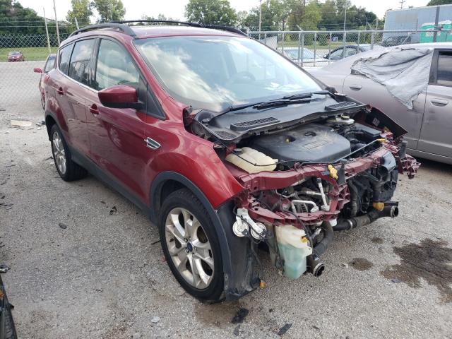 FORD ESCAPE SE 2013 1fmcu9g98duc14335