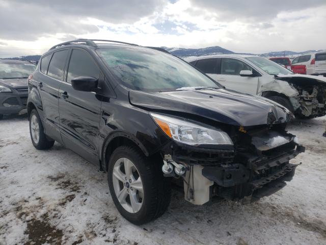 FORD ESCAPE SE 2014 1fmcu9g98eua30613