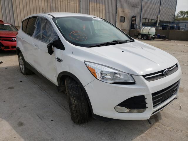 FORD ESCAPE SE 2014 1fmcu9g98eub82147