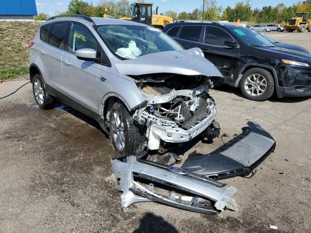 FORD ESCAPE SE 2014 1fmcu9g98euc07113