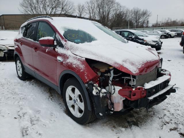 FORD ESCAPE SE 2014 1fmcu9g98euc26566