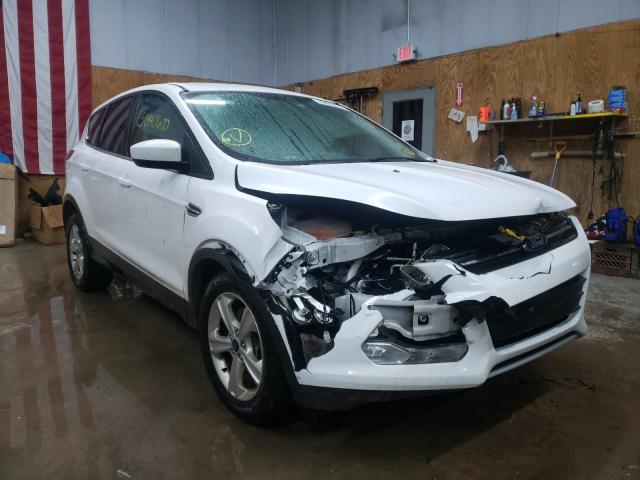 FORD ESCAPE SE 2014 1fmcu9g98euc75203