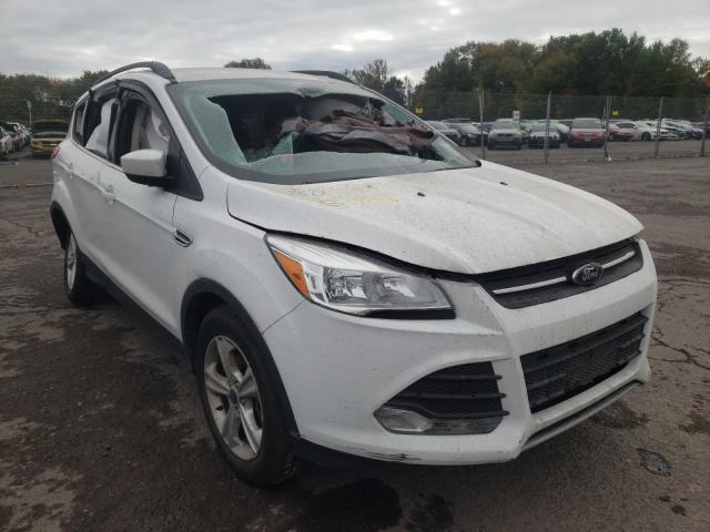 FORD ESCAPE SE 2014 1fmcu9g98eud51969