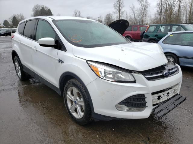 FORD ESCAPE SE 2014 1fmcu9g98eud88200