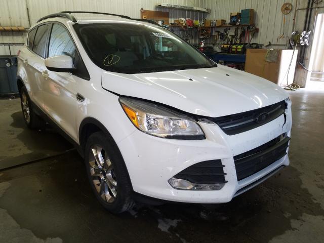 FORD ESCAPE SE 2014 1fmcu9g98eud94580