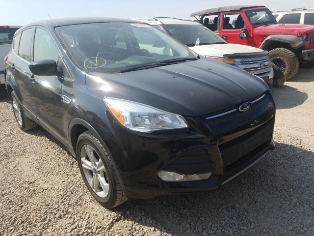 FORD NULL 2016 1fmcu9g98gua55059