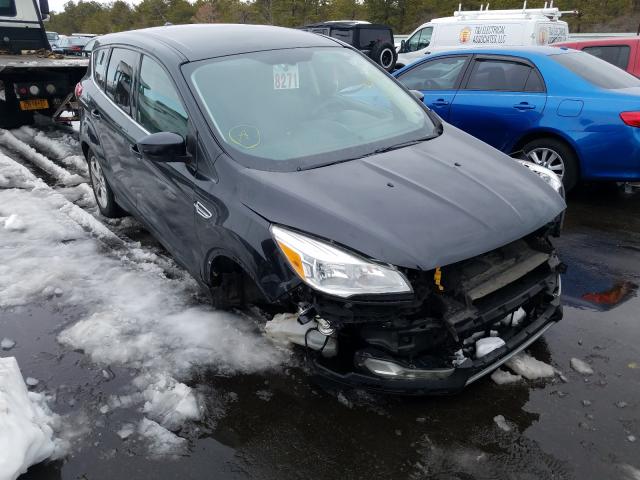 FORD ESCAPE SE 2013 1fmcu9g99duc68713