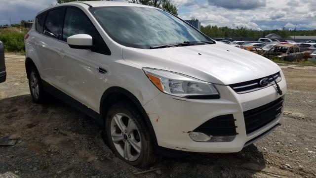 FORD ESCAPE SE 2013 1fmcu9g99duc81414