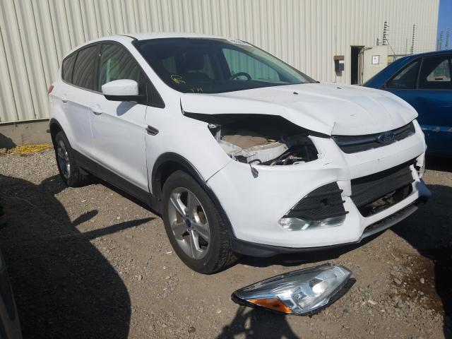 FORD ESCAPE SE 2013 1fmcu9g99duc89397