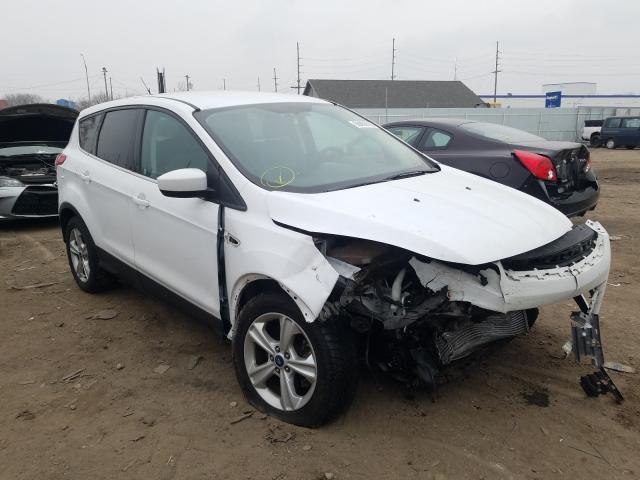 FORD ESCAPE SE 2014 1fmcu9g99eua22035