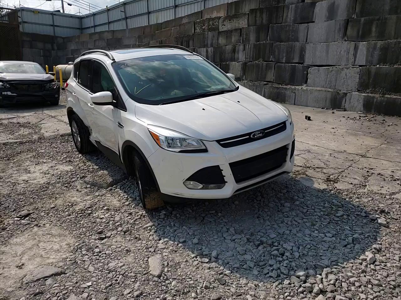 FORD ESCAPE SE 2014 1fmcu9g99eua95440