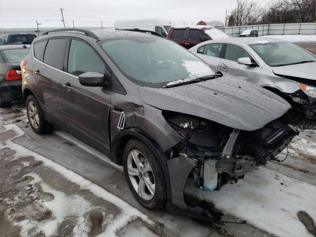 FORD ESCAPE SE 2014 1fmcu9g99eub49254