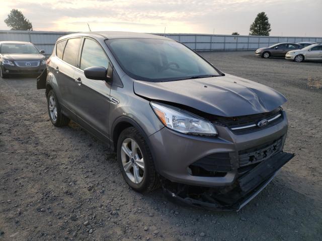 FORD ESCAPE SE 2014 1fmcu9g99euc45918