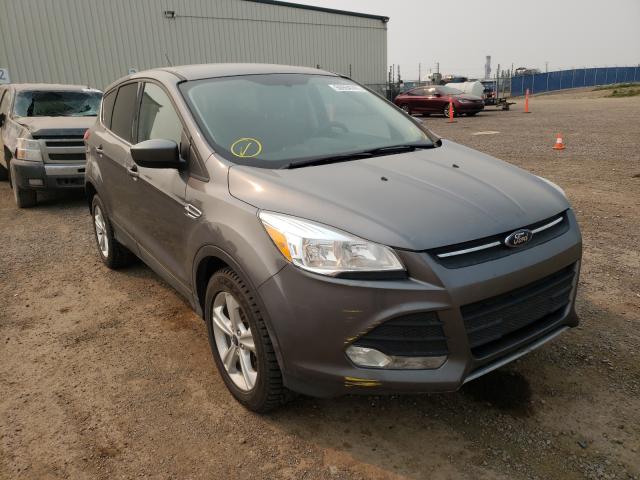 FORD ESCAPE SE 2014 1fmcu9g99euc54571