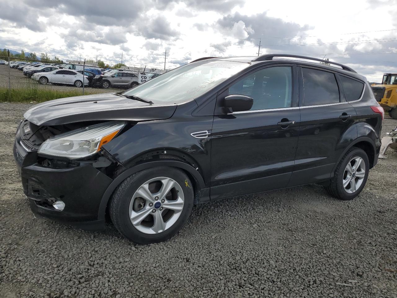 FORD ESCAPE 2014 1fmcu9g99euc85156