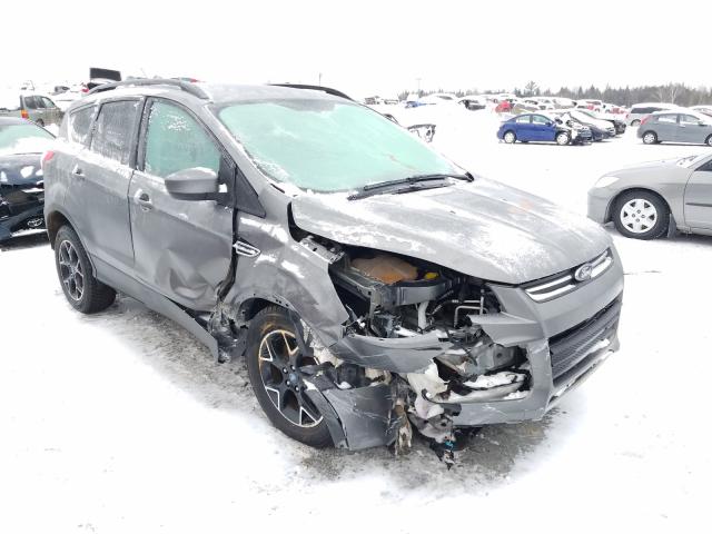 FORD ESCAPE SE 2014 1fmcu9g99eud20276