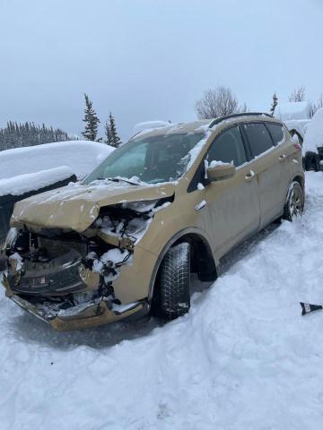 FORD ESCAPE 2014 1fmcu9g99eud90084