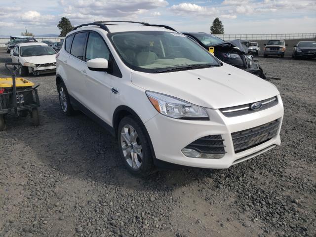 FORD ESCAPE SE 2013 1fmcu9g9xdub55711