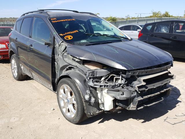 FORD NULL 2013 1fmcu9g9xduc03059