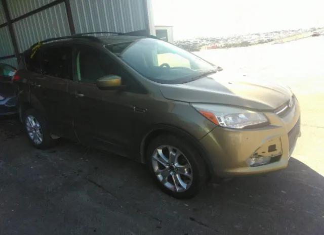 FORD ESCAPE 2013 1fmcu9g9xdud16834