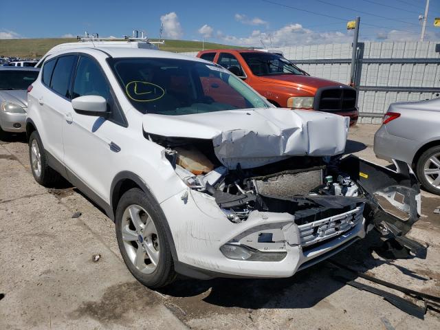 FORD ESCAPE SE 2014 1fmcu9g9xeua78548