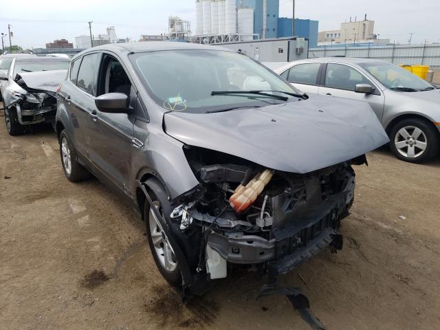 FORD ESCAPE SE 2014 1fmcu9g9xeub40708