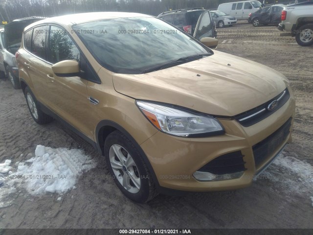 FORD ESCAPE 2014 1fmcu9g9xeue04834