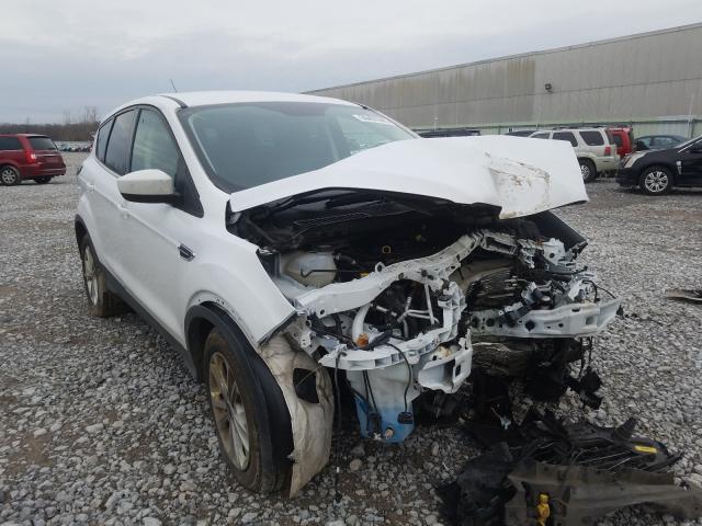 FORD ESCAPE SE 2019 1fmcu9gd2kuc44013