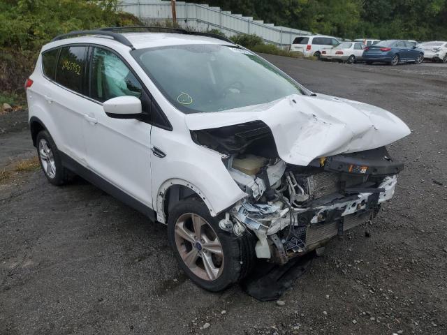 FORD ESCAPE SE 2013 1fmcu9gx0dud82923