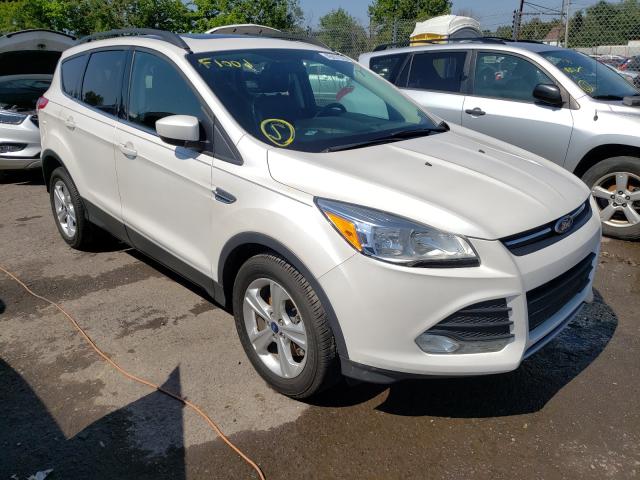 FORD ESCAPE SE 2014 1fmcu9gx0eua81005