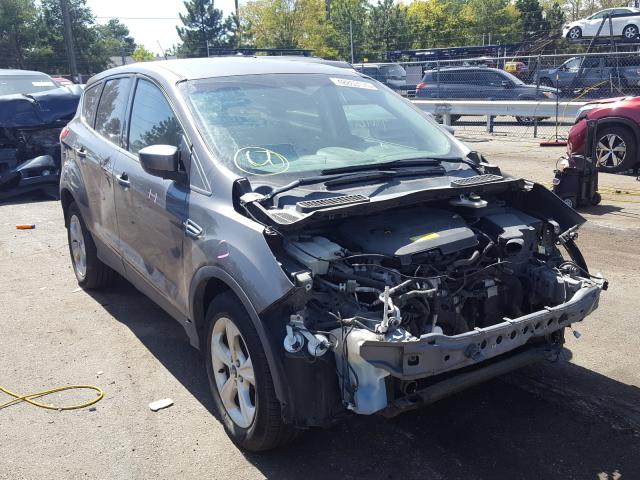 FORD ESCAPE SE 2014 1fmcu9gx0eua85894