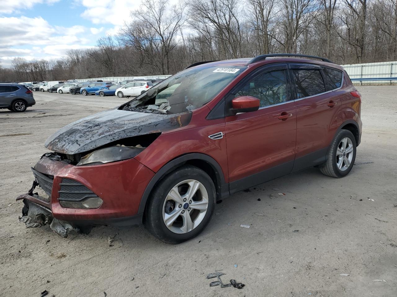 FORD ESCAPE 2014 1fmcu9gx0euc43117