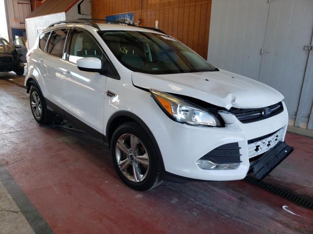 FORD ESCAPE SE 2014 1fmcu9gx1eua36333