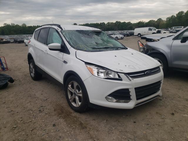 FORD ESCAPE SE 2014 1fmcu9gx1euc04410