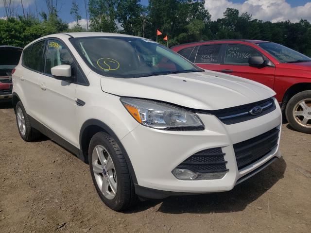 FORD ESCAPE SE 2014 1fmcu9gx1eud36485