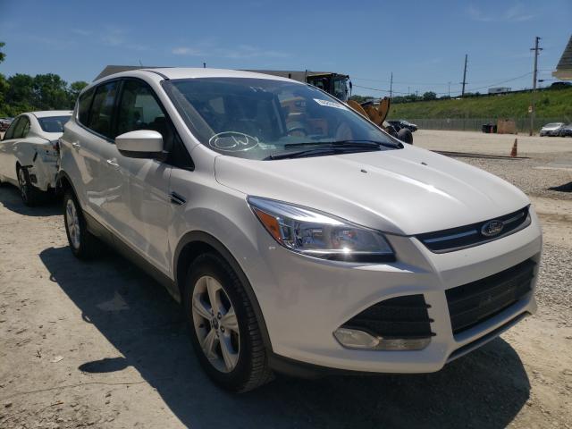 FORD ESCAPE SE 2014 1fmcu9gx1eud56784