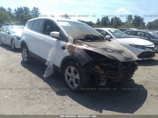 FORD ESCAPE 2013 1fmcu9gx2dua11665