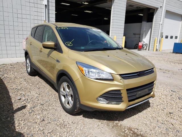 FORD ESCAPE SE 2014 1fmcu9gx2euc51901