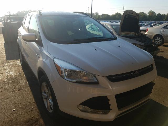 FORD ESCAPE SE 2014 1fmcu9gx2euc61442