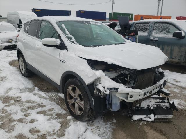 FORD ESCAPE SE 2014 1fmcu9gx3eua51965