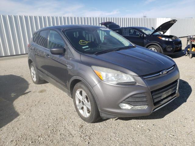 FORD ESCAPE SE 2014 1fmcu9gx3eub64282