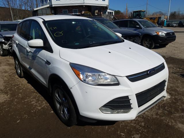 FORD ESCAPE SE 2014 1fmcu9gx3eub91014